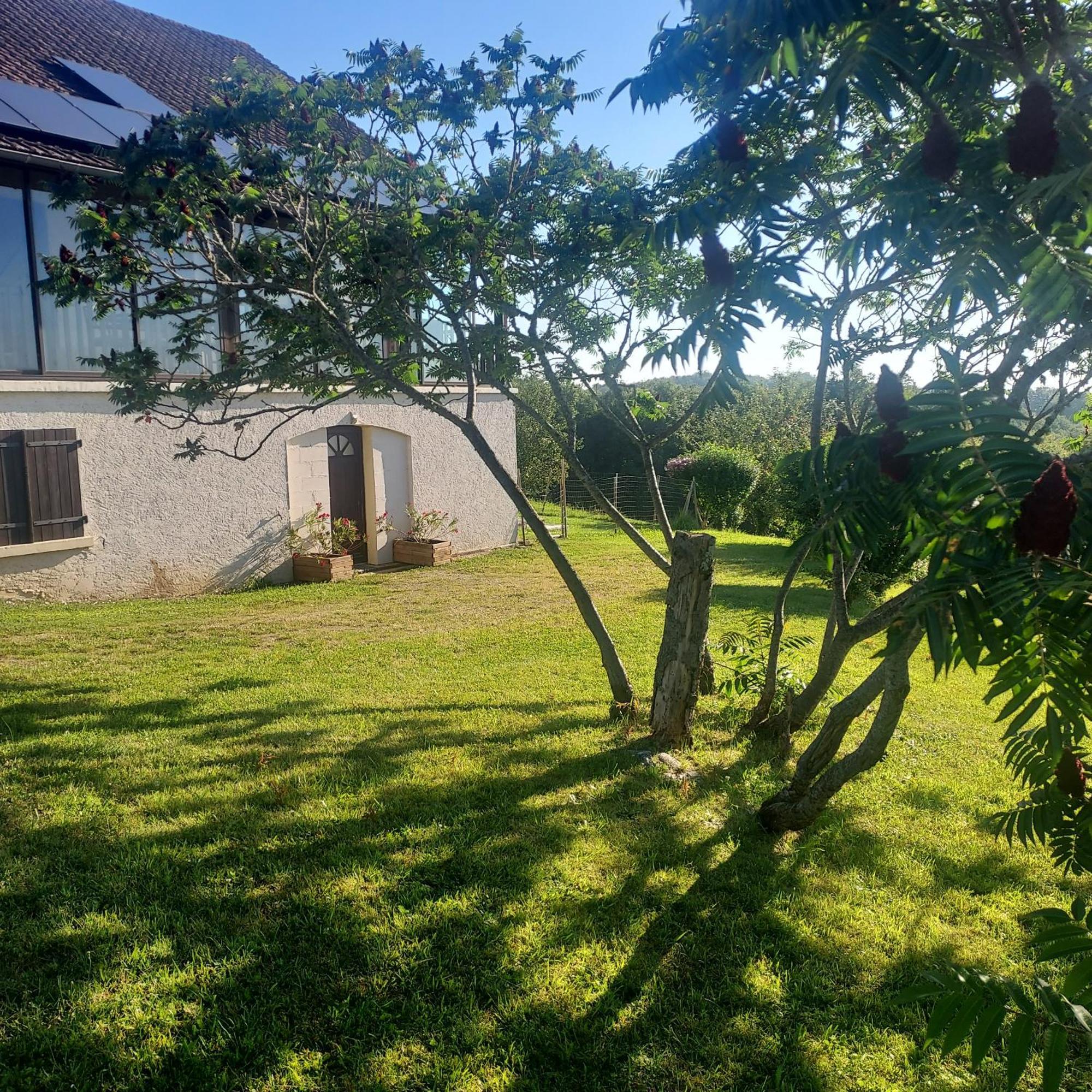 Au Petit Bois Magique Apartment Payrac Exterior foto
